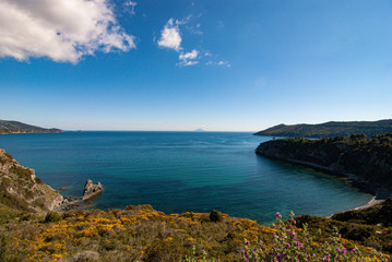 Wall Mural - Spring Seascape Elba Island Italy