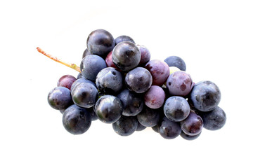 Wall Mural - bunch of black grapes on white bacground