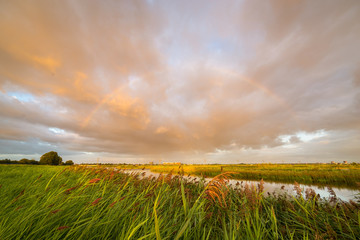 Wall Mural - beautiful rainbow and orange colored sky as a rain shower moves over the dutch countryside at lake r
