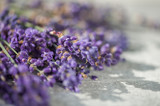 Fototapeta Lawenda - Lavender SPA. Lavender flowers on light gray background. Copy space, top view. SPA concept.