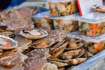 Wall Mural - Fresh Scallops on a seafood market at Dieppe France