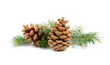 Fototapeta  - Fir tree branches and pine cones on white background