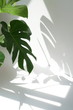© irenastar - Abstract leaves shadow background of natural tropical monstera leaves on white wall texture . home interior. poster