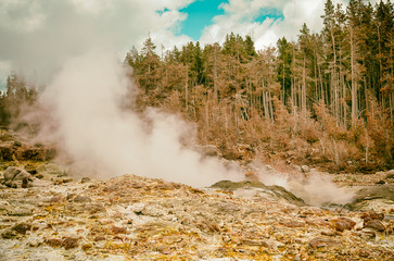 Poster - Geysers of Yellowstone Naional Park