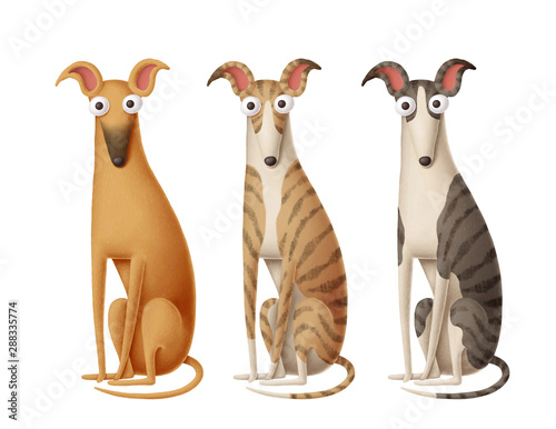 Fotomural Set of cartoon sighthounds on white background