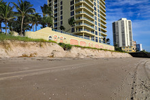 Example Of Severe Beach Erosion On Singer Island, Florida, Following Hurricane Dorian.  All Seaweed Has Been Swept Away Too.