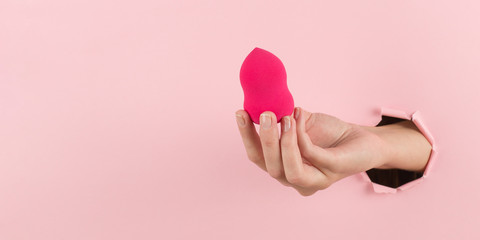 Wall Mural - Girl hand holds a beauty blender for makeup from a hole in a pink background, copy space.