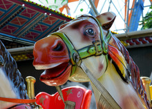Merry-go-round Horse Portrait At Amusement Park