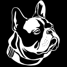 Handsome Black French Bulldog Logo. This Is Frenchie Series In Black White Style.
