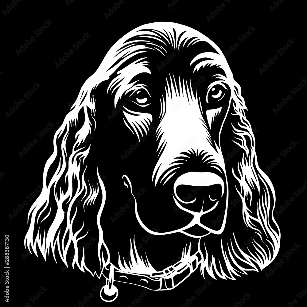Spaniel dog hand drawn outline stock vector illustration coloring book ...