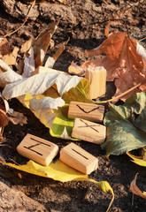 Wall Mural - Set Wooden runes lie on the ground with autumn leaves. Near the root of a diseased tree