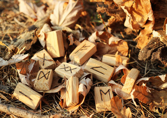 Wall Mural - View of the Runic alphabet which lies on yellow foliage and dry grass near a dry broken hemp. Set for a magic ritual. Blur effect. Nature. The concept of magic and mysticism