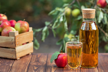 apple juice in glass and bottle