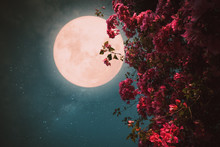 Romantic Night Scene - Beautiful Pink Flower Blossom In Night Skies With Full Moon. - Retro Style Artwork With Vintage Color Tone.