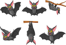 Set Of Cartoon Bat With Different Expressions. Vector Illustration