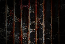 Old Prison Rusted Metal Bars Cell Lock And Cobweb Or Spider Web With Blood Stain On Black Background, Bloody Scary And Horror
