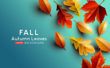 Red And Golden Coloured Autumn Leaves On A Blue Background. Vector Illustration.