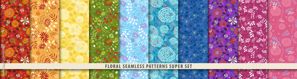 Floral seamless pattern set. Flowers and leaves.. Color vector background. Summer and spring print - obrazy, fototapety, plakaty 