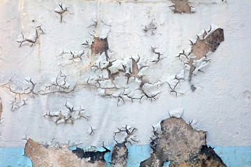 Wall Mural - Close up old peeled grunge style wall detail of concrete building exterior