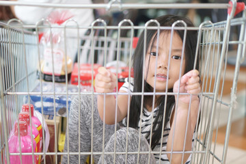 Wall Mural - Asian child cute or kid girl happy smiling and sit in supermarket cart for food product sale and buy or housewares shopping with enjoy funny in super market at department store on holiday relax