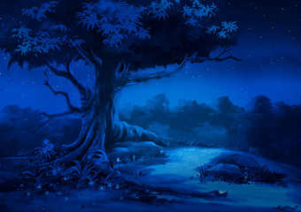 Wall Mural - night nature landscape with starry sky