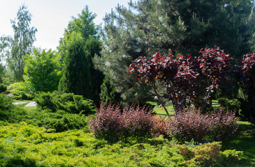 Scenic view of the park in the center of the big city in the spring. In the atmosphere of natural light