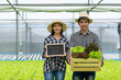 © khwanchai - Lover couple organic hydroponic owner, woman and Asian man holding small blackboard with word fresh from farm with  vegetables box, Butter head Lettuce salad plant