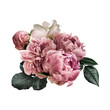 Floral arrangement, bouquet of garden flowers. Pink peonies, green leaves, white roses isolated on white background. Can be used for your projects, wedding invitations, greeting cards.