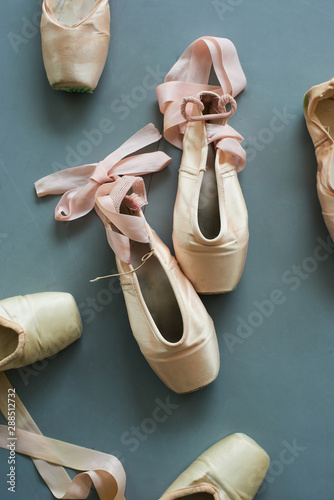 silk ballet slippers
