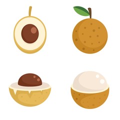 Poster - Longan icons set. Flat set of longan vector icons for web design