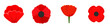 Poppy flowers icon set. Flat set of poppy flowers vector icons for web design