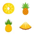 Pineapple icons set. Flat set of pineapple vector icons for web design