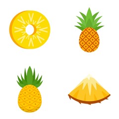 Canvas Print - Pineapple icons set. Flat set of pineapple vector icons for web design