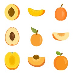 Poster - Apricot icons set. Flat set of apricot vector icons for web design