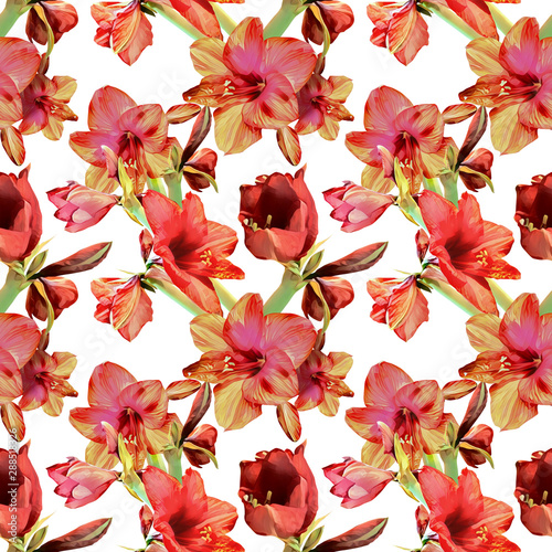 Amaryllis seamless pattern. Floral illustration.