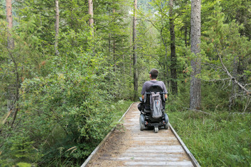 Wall Mural - Happy man on wheelchair in nature. Exploring forest wilderness on an accessible dirt path.