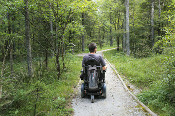 Wall Mural - Happy man on wheelchair in nature. Exploring forest wilderness on an accessible dirt path.
