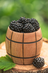 Wall Mural - Fresh and natural blackberry with mint leaf on a stump green garden background