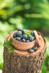 Wall Mural - Fresh and natural blueberry with mint leaf on a stump green garden background