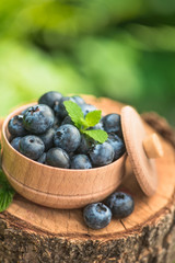 Wall Mural - Fresh and natural blueberry with mint leaf on a stump green garden background