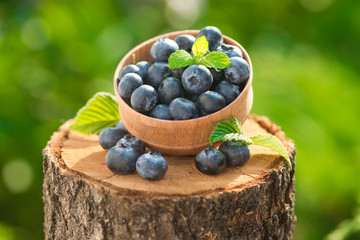 Fresh and natural blueberry with mint leaf on a stump green garden background