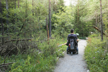 Wall Mural - Happy man on wheelchair in nature. Exploring forest wilderness on an accessible dirt path.