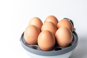 Chicken eggs in a egg cooker on a white background