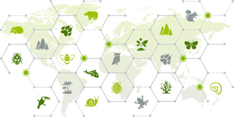 international wildlife / biodiversity icon concept – endangered animals icons with world map, vector