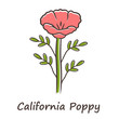 California poppy red color icon. Papaver rhoeas with name inscription. Corn rose blooming wildflower. Herbaceous plants. Field common poppy. Summer blossom. Isolated vector illustration