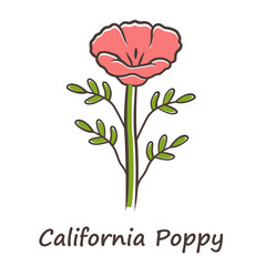 Poster - California poppy red color icon. Papaver rhoeas with name inscription. Corn rose blooming wildflower. Herbaceous plants. Field common poppy. Summer blossom. Isolated vector illustration