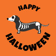Dachshund in skeleton coustume Halloween  greeting card