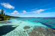 ニューカレドニア ロイヤルティ諸島　マレ島　ペジェビーチのサンゴ礁