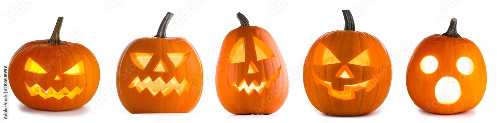 Halloween Pumpkins on white - obrazy, fototapety, plakaty 
