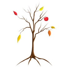 Cartoon Illustration Of Bare Apple Tree Isolated On White Background. Tree No Leaves Isolated. Flat Cartoon Style. Autumn Fall Tree With Some Red And Orange Leaves And One Apple On Naked Bare Branches